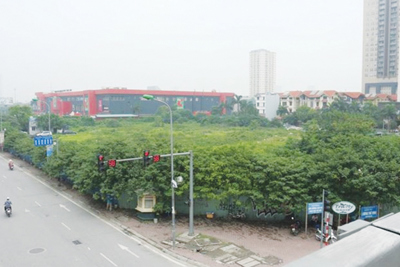 Thu hồi dự án treo: Đánh trống bỏ dùi?