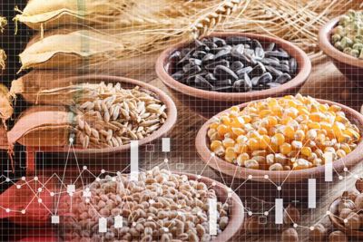 FAO: Giá lương thực thế giới chạm mức kỷ lục mới