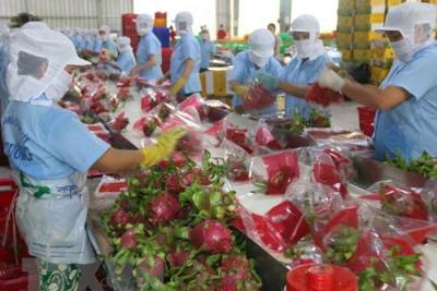 Từ 1/5/2019, trái cây xuất sang Trung Quốc phải đáp ứng yêu cầu bao bì