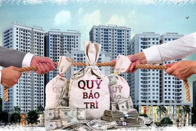 Thủ tục cưỡng chế bàn giao kinh phí bảo trì phần sở hữu chung của nhà chung cư
