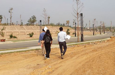Đầu tư đất nền, tránh “hiệu ứng” đám đông