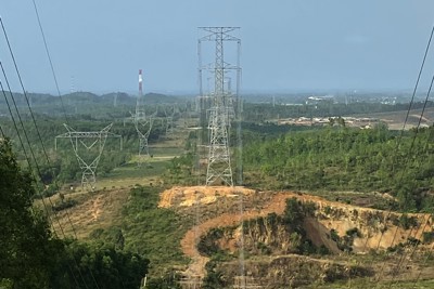 Chính phủ đôn đốc thực hiện thu tiền thuê đất Hệ thống đường dây truyền tải điện