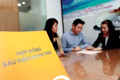 Cần thắt chặt quản lý các tổ chức đại lý, môi giới bảo hiểm