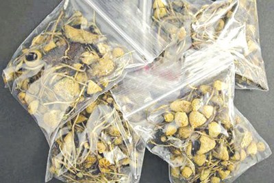 4 loại ma túy mới xuất hiện gây hiểm họa khôn lường tại Việt Nam