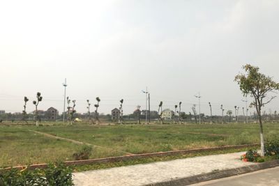 Dùng công cụ thuế đặc trị "sốt đất"
