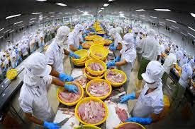 Chính sách xuất khẩu thủy sản sang thị trường EU của Việt Nam trong bối cảnh thực thi Hiệp định EVFTA