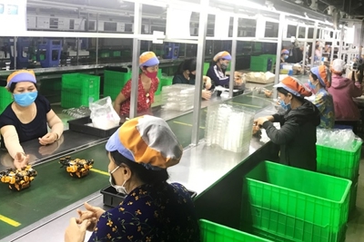 Nỗ lực hỗ trợ doanh nghiệp vượt khó