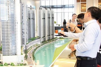Phối hợp triển khai chống thất thu thuế trong hoạt động kinh doanh, chuyển nhượng bất động sản 