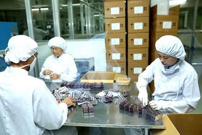 Thực hiện mua sắm thuốc theo kết quả đấu thầu tập trung quốc gia