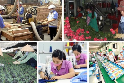 Doanh nghiệp "ngủ đông" chờ qua đại dịch