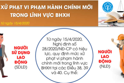 [Infographics] Mức xử phạt vi phạm hành chính mới trong lĩnh vực bảo hiểm xã hội, áp dụng từ 15/4/2020