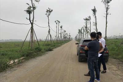 Tình trạng sốt đất đã hạ nhiệt