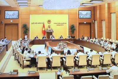 Phối hợp đồng bộ, linh hoạt chính sách tài khóa với chính sách tiền tệ