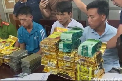 Bắt giữ vụ vận chuyển 20 bánh heroin, 24 kg ma túy đá và ketamin