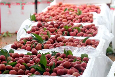 Giao dịch với đối tác Trung Quốc cần đặc biệt lưu ý gì?