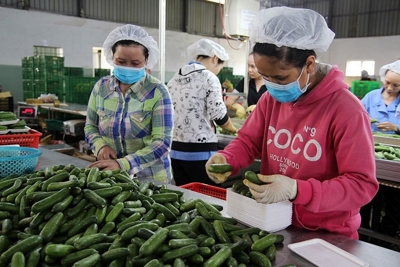 Hiến kế tiêu thụ nông sản trước ảnh hưởng của dịch Covid-19
