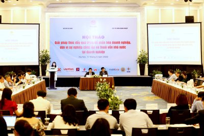 Nhìn nhận về trách nhiệm của Ban Chỉ đạo trong quá trình cổ phần hóa doanh nghiệp nhà nước