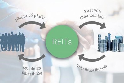 Bỏ vốn vào quỹ tín thác bất động sản sao cho hiệu quả?