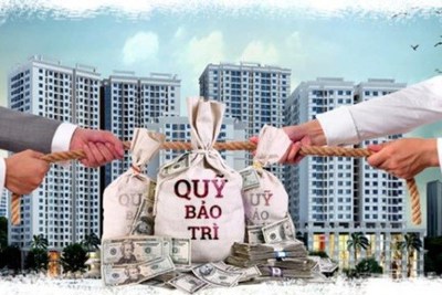 Giải pháp ngăn chặn chủ đầu tư chiếm dụng quỹ bảo trì chung cư