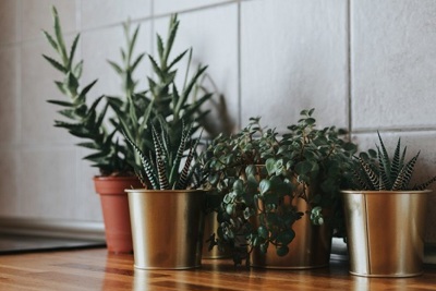 6 cách làm mát nhà tự nhiên để tiết kiệm điện mùa hè này