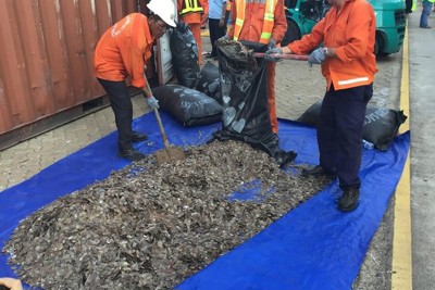 Phát hiện 5.264 kg vẩy tê tê giấu sau lô hạt điều