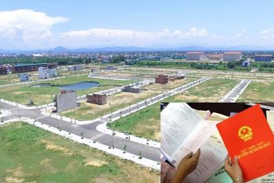 Khắc chế tình trạng phân lô bán nền gây "sốt ảo" đất nông nghiệp