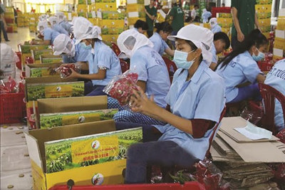 Bộ Công Thương yêu cầu tạo thuận lợi khi cấp C/O cho nông sản xuất khẩu