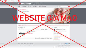 Hàng loạt website giả mạo, bán hàng lừa đảo 