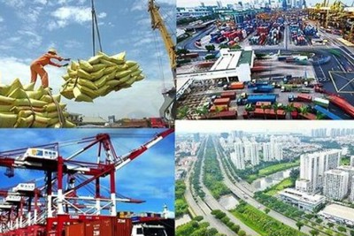 Quyết tâm vừa chống dịch, vừa khôi phục, phát triển hoạt động sản xuất kinh doanh