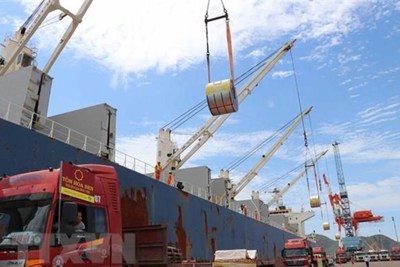 Quy mô xuất khẩu của Việt Nam đứng thứ 22 trên thế giới