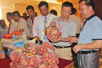 Thương nhân Việt bất ngờ với nhiều quy định mới của Trung Quốc