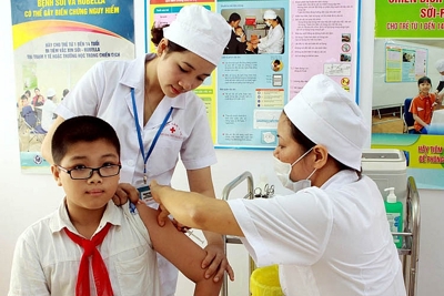 BHXH Việt Nam - WHO: Nỗ lực đưa các nội dung hợp tác đi vào thực chất, hiệu quả