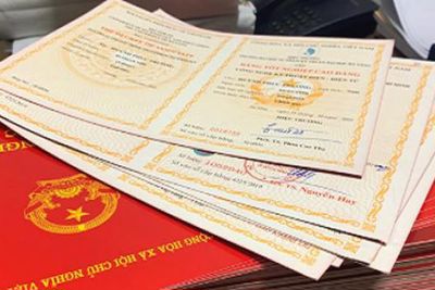 Chính phủ nhất trí chủ trương cắt giảm chứng chỉ bồi dưỡng mang tính hình thức, không phù hợp