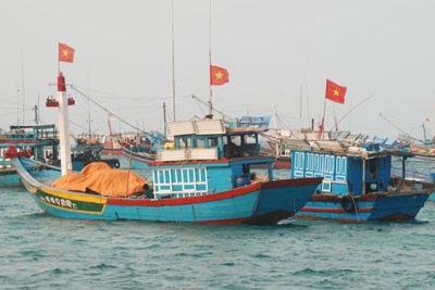 Bổ sung hơn 462 tỷ đồng ngân sách trung ương cho phát triển thủy sản