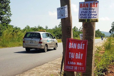 Hậu sốt đất, nhà đầu tư "găm tiền" chờ thời