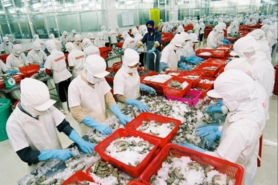 Kỳ vọng tăng xuất khẩu thủy sản sang EU nhờ EVFTA