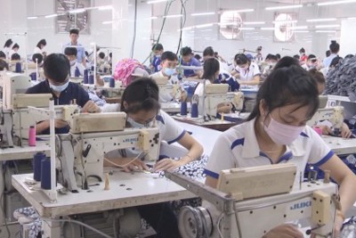 Siết chặt doanh nghiệp nước ngoài sử dụng lao động “chui”