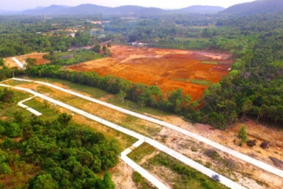 Tình trạng vi phạm đất đai vẫn diễn ra phổ biến, phức tạp