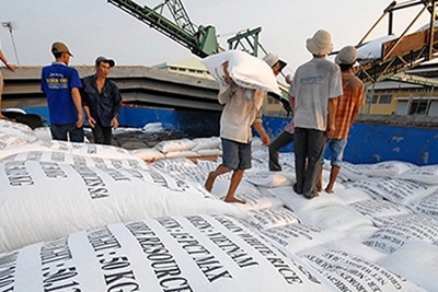 Muốn hưởng ưu đãi thuế vào EU, gạo phải được cấp giấy chứng nhận trước khi sản xuất