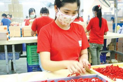 Phát triển kinh tế tư nhân nhằm chuyển dịch cơ cấu kinh tế TP. Chí Linh, Hải Dương