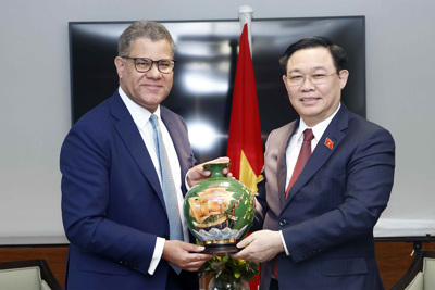 Tăng cường giám sát, phân bổ ngân sách đảm bảo thực hiện các cam kết khí hậu của Việt Nam
