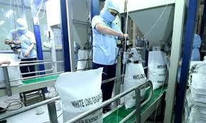 Ngành gạo lo khó đạt chuẩn EU 