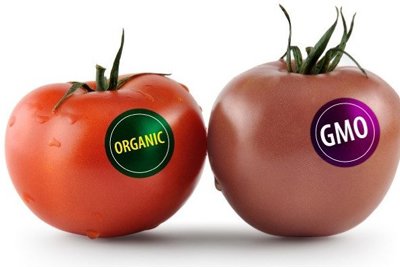 Người dùng nên lưu ý gì khi sử dụng thực phẩm biến đổi gen?