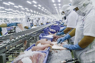 Quy tắc xuất xứ trong EVFTA: Những điều lưu ý