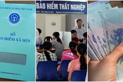 Thêm giấy tờ có thể thay thế trong hồ sơ hưởng bảo hiểm thất nghiệp
