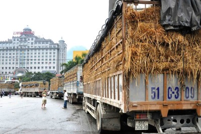 Xuất khẩu sang Trung Quốc ngày càng khó