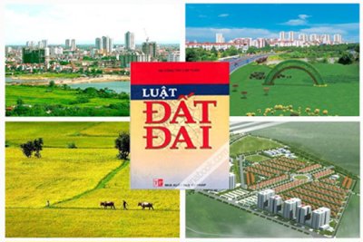 Kiện toàn Ban Chỉ đạo tổng kết thi hành Luật Đất đai, xây dựng dự án Luật Đất đai (sửa đổi)