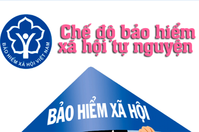 [Infographic] Tham gia bảo hiểm xã hội tự nguyện có quyền lợi gì?