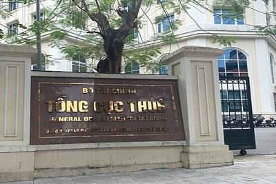 Không để công việc bị gián đoạn, đình trệ, thực hiện tốt nhiệm vụ công tác quản lý thuế