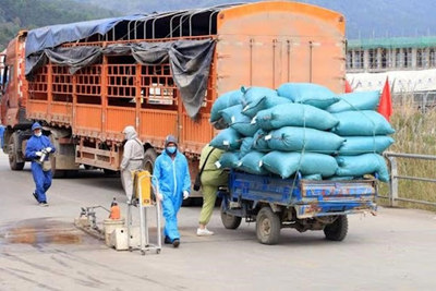 Tạo điều kiện thuận lợi cho lưu thông hàng hóa trong mùa dịch